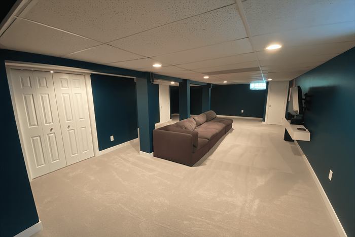 Navy walls, carpet and recessed lights