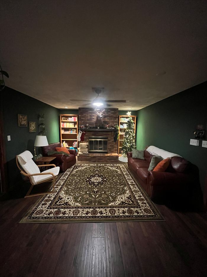 Fireplace wall with built-in shelves